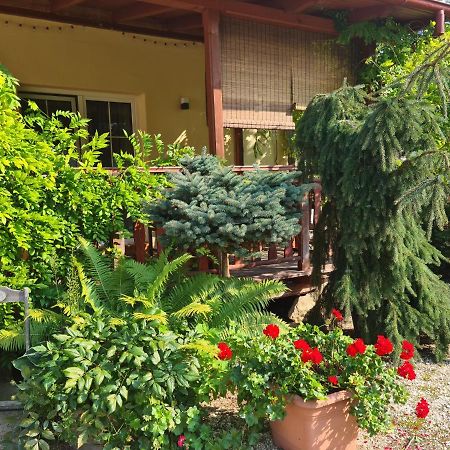Apartament Malinowa Dolina Kłodzko Esterno foto