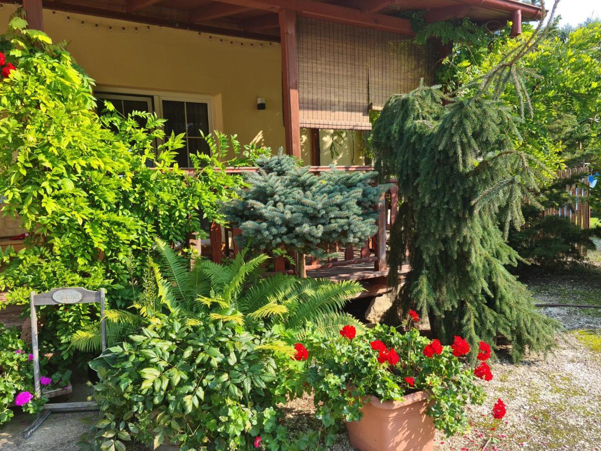 Apartament Malinowa Dolina Kłodzko Esterno foto