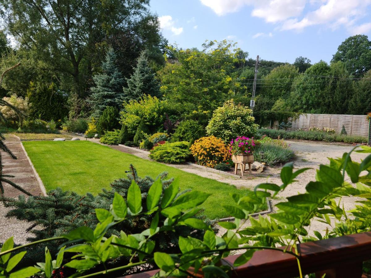 Apartament Malinowa Dolina Kłodzko Esterno foto