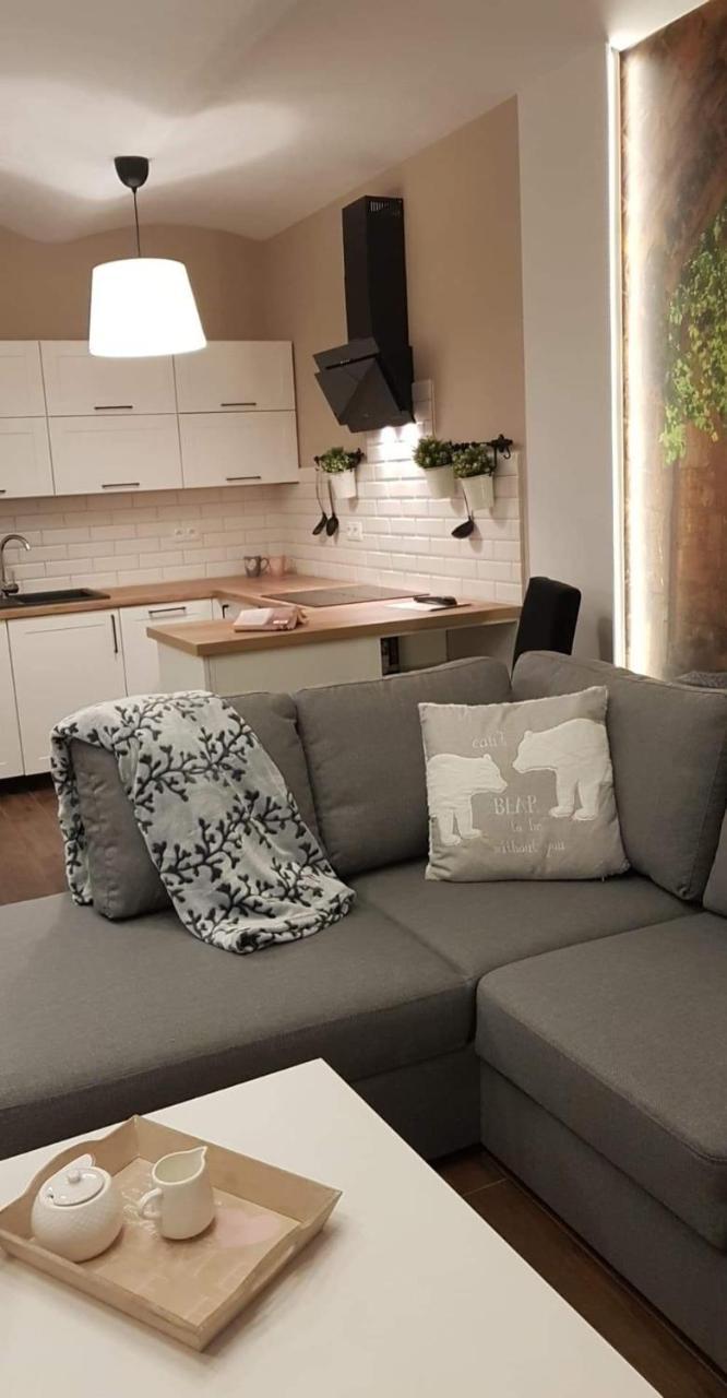 Apartament Malinowa Dolina Kłodzko Esterno foto
