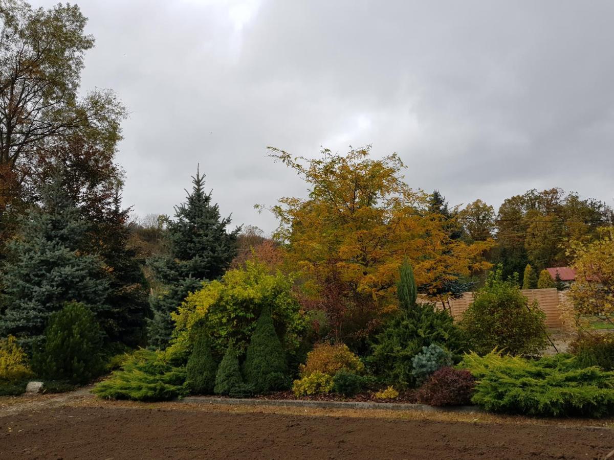 Apartament Malinowa Dolina Kłodzko Esterno foto